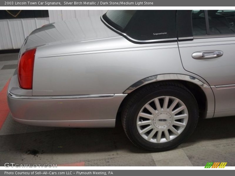 Silver Birch Metallic / Dark Stone/Medium Light Stone 2003 Lincoln Town Car Signature