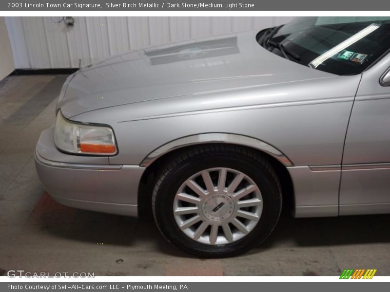 Silver Birch Metallic / Dark Stone/Medium Light Stone 2003 Lincoln Town Car Signature