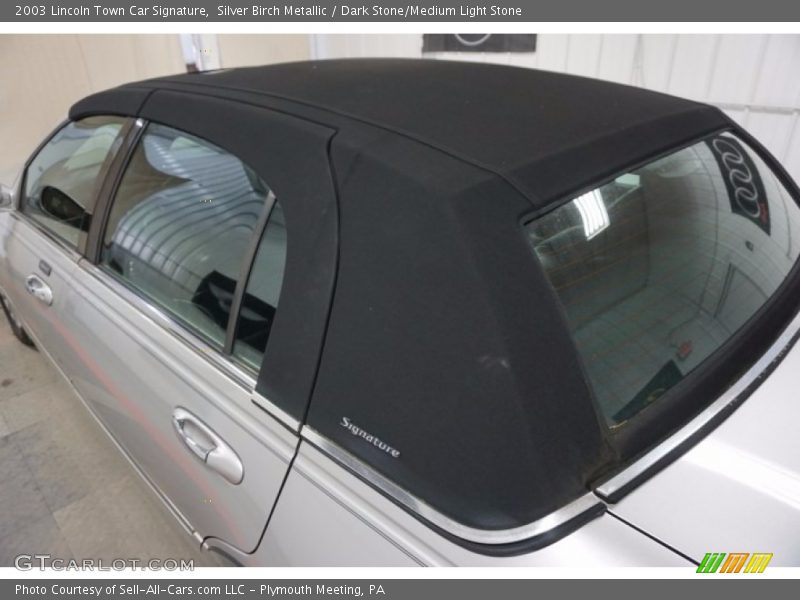 Silver Birch Metallic / Dark Stone/Medium Light Stone 2003 Lincoln Town Car Signature