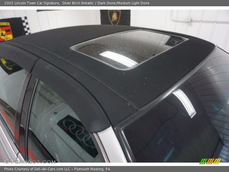 Silver Birch Metallic / Dark Stone/Medium Light Stone 2003 Lincoln Town Car Signature