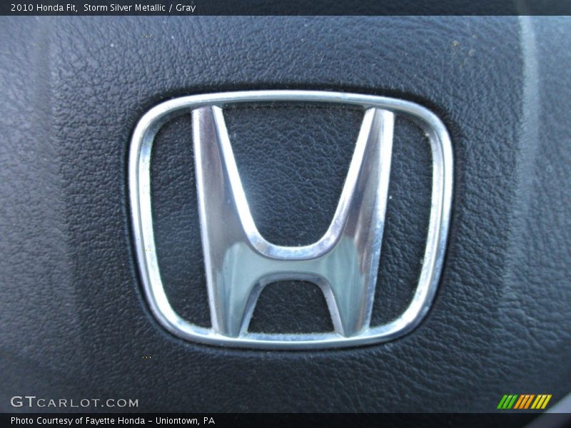 Storm Silver Metallic / Gray 2010 Honda Fit
