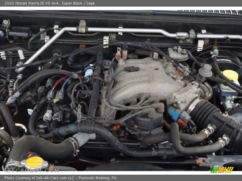 Super Black / Sage 2003 Nissan Xterra SE V6 4x4