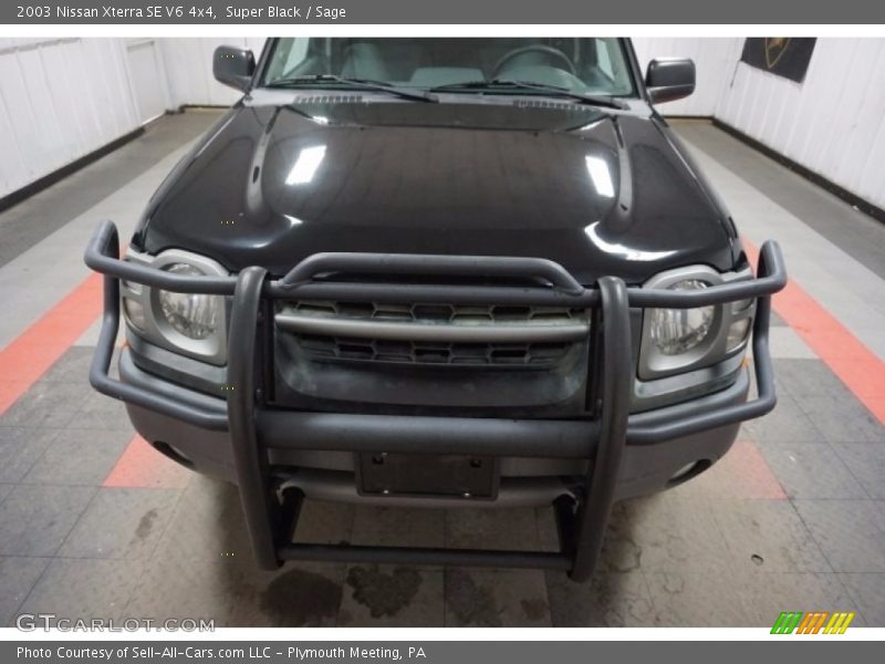 Super Black / Sage 2003 Nissan Xterra SE V6 4x4