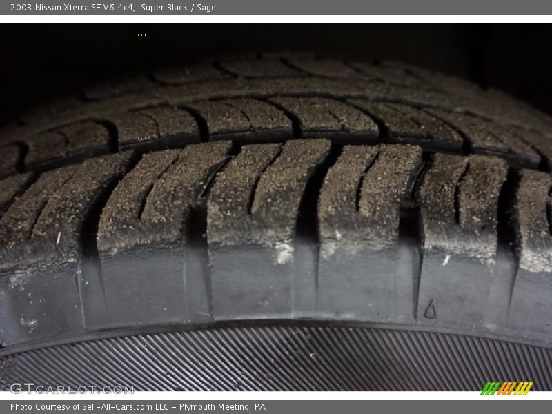 Super Black / Sage 2003 Nissan Xterra SE V6 4x4