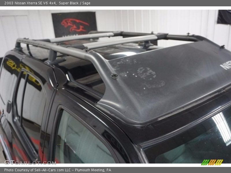 Super Black / Sage 2003 Nissan Xterra SE V6 4x4