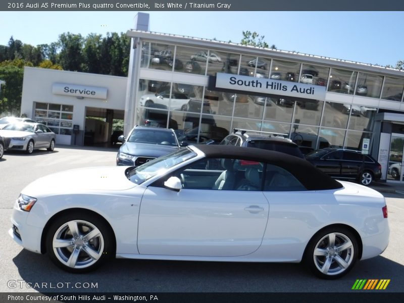 Ibis White / Titanium Gray 2016 Audi A5 Premium Plus quattro Convertible