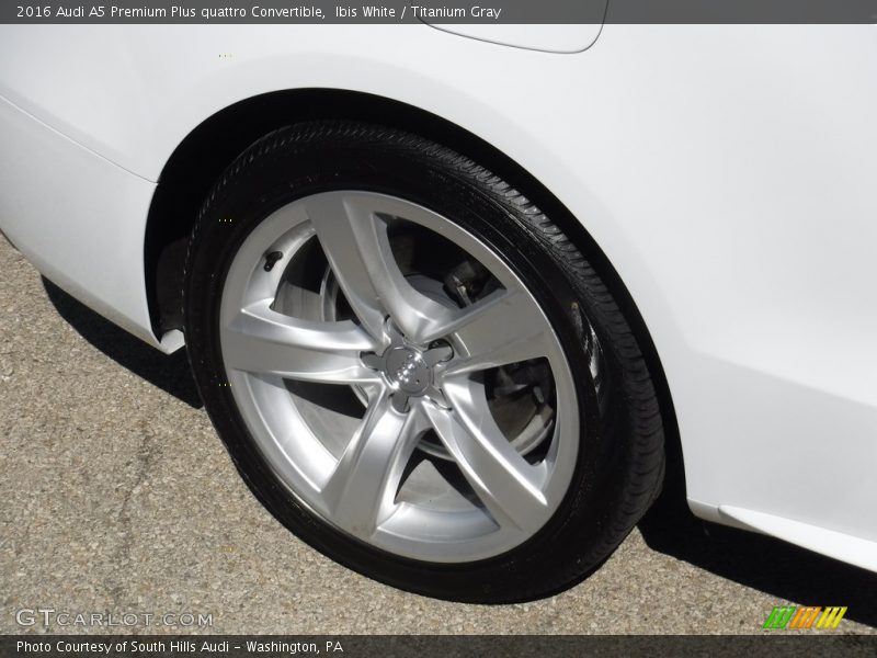 Ibis White / Titanium Gray 2016 Audi A5 Premium Plus quattro Convertible