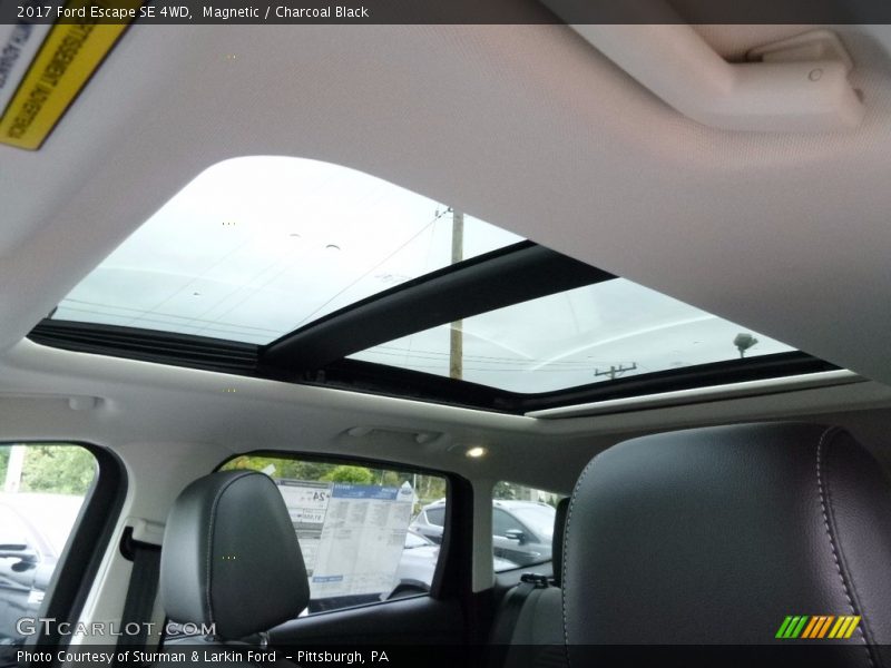 Magnetic / Charcoal Black 2017 Ford Escape SE 4WD