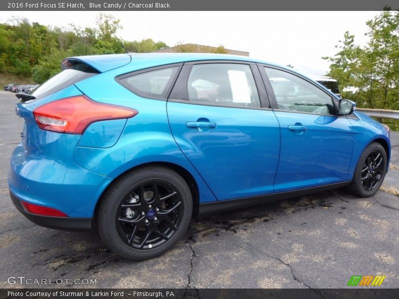 Blue Candy / Charcoal Black 2016 Ford Focus SE Hatch