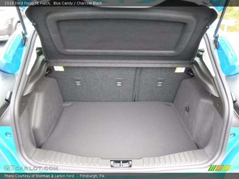 Blue Candy / Charcoal Black 2016 Ford Focus SE Hatch