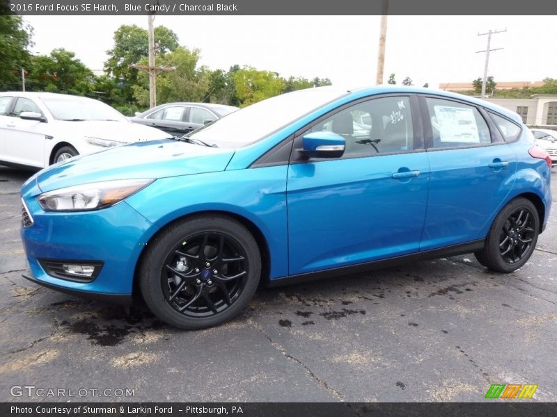 Blue Candy / Charcoal Black 2016 Ford Focus SE Hatch