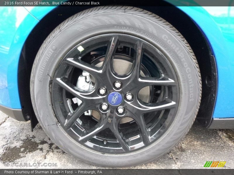 Blue Candy / Charcoal Black 2016 Ford Focus SE Hatch