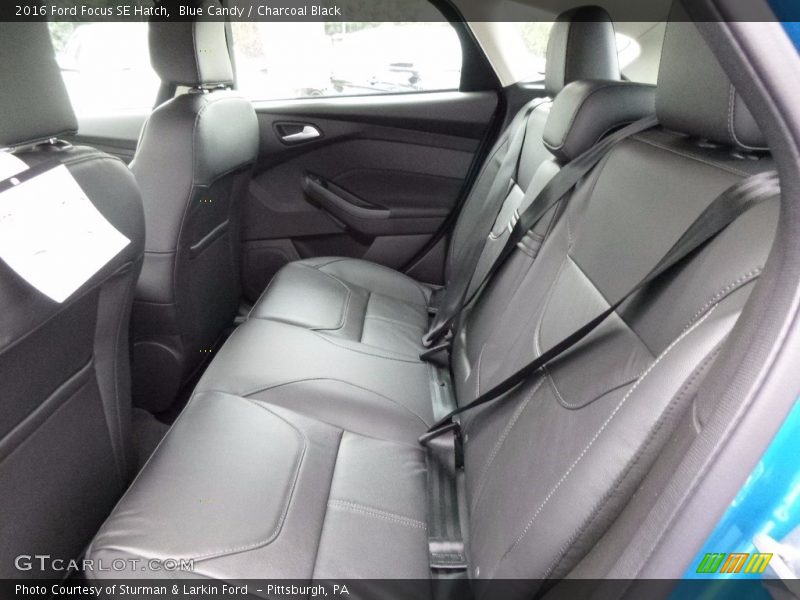 Blue Candy / Charcoal Black 2016 Ford Focus SE Hatch