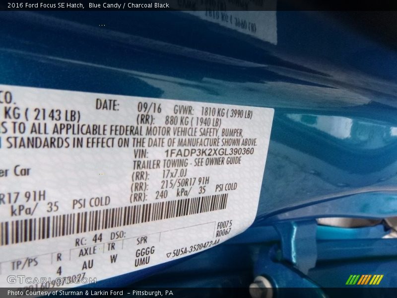 Blue Candy / Charcoal Black 2016 Ford Focus SE Hatch