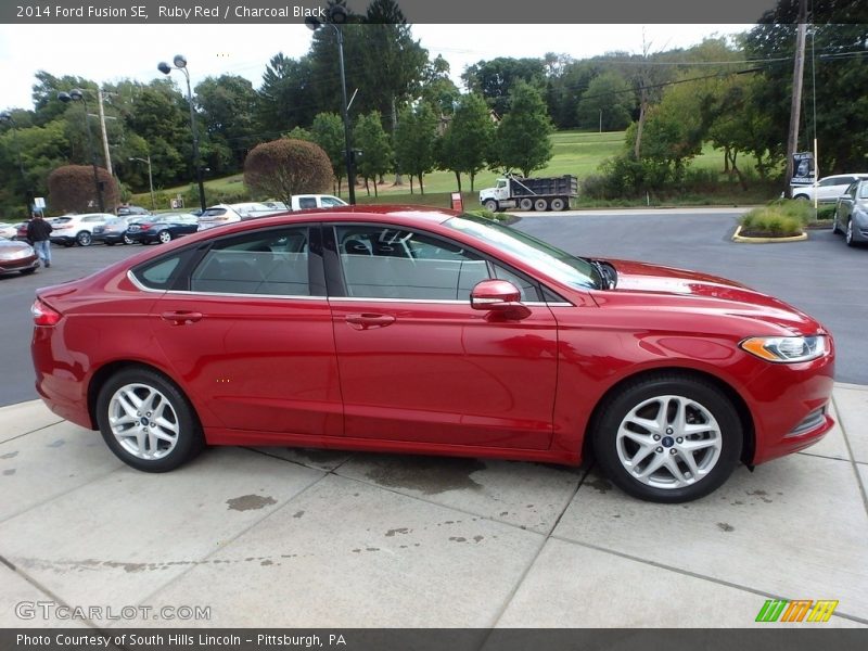 Ruby Red / Charcoal Black 2014 Ford Fusion SE