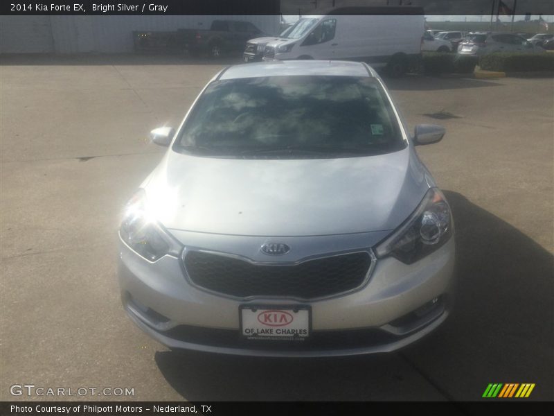 Bright Silver / Gray 2014 Kia Forte EX