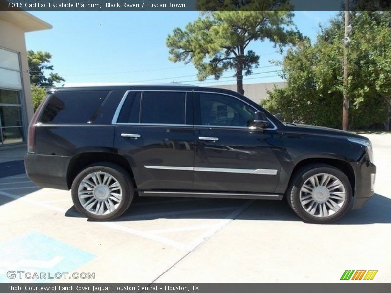 Black Raven / Tuscan Brown 2016 Cadillac Escalade Platinum