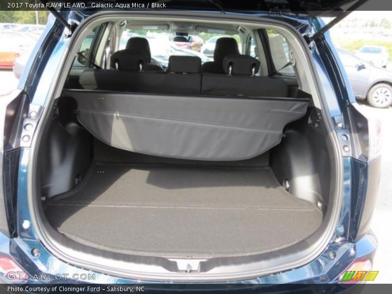 Galactic Aqua Mica / Black 2017 Toyota RAV4 LE AWD