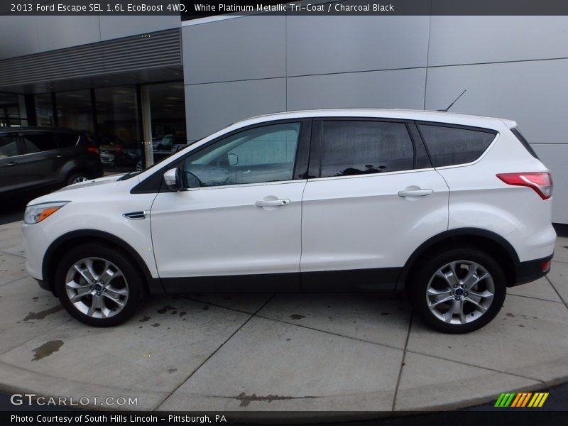 White Platinum Metallic Tri-Coat / Charcoal Black 2013 Ford Escape SEL 1.6L EcoBoost 4WD