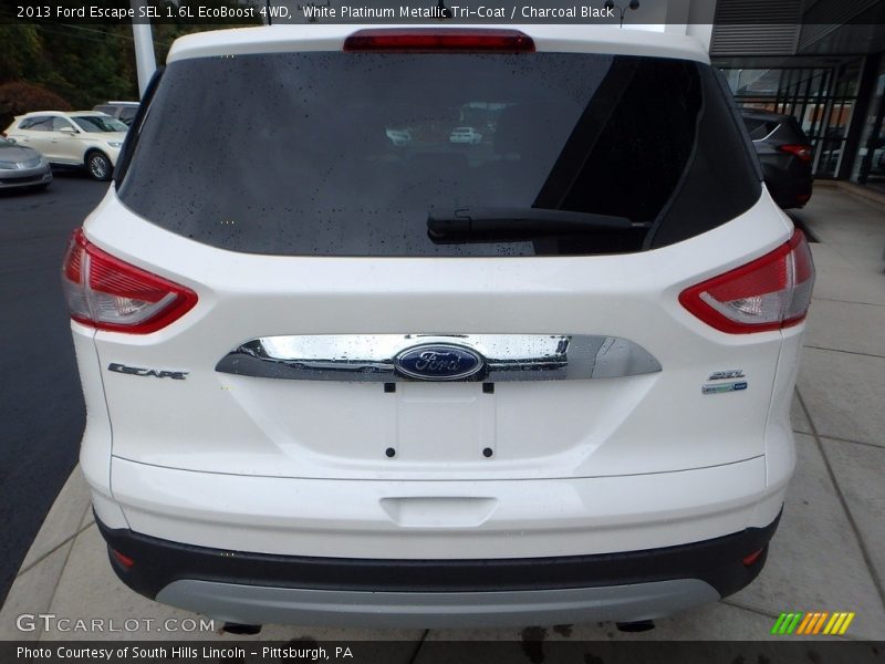 White Platinum Metallic Tri-Coat / Charcoal Black 2013 Ford Escape SEL 1.6L EcoBoost 4WD