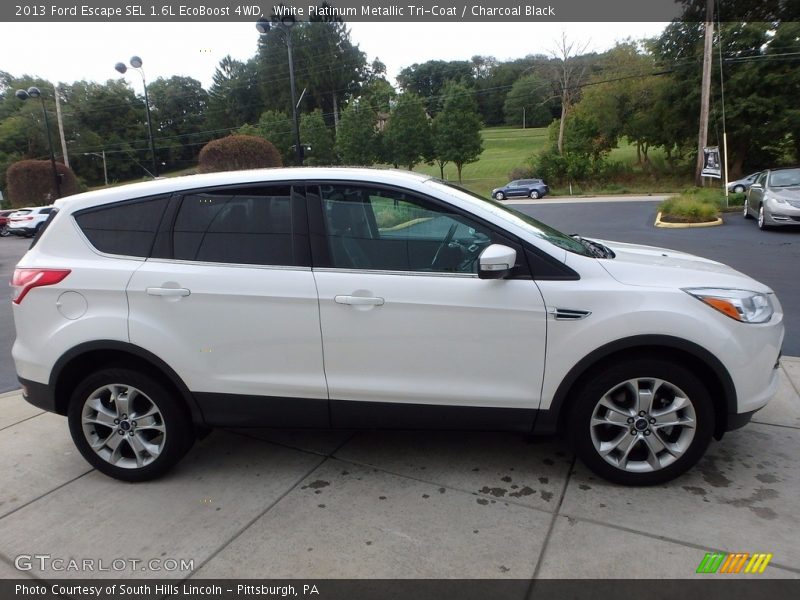 White Platinum Metallic Tri-Coat / Charcoal Black 2013 Ford Escape SEL 1.6L EcoBoost 4WD