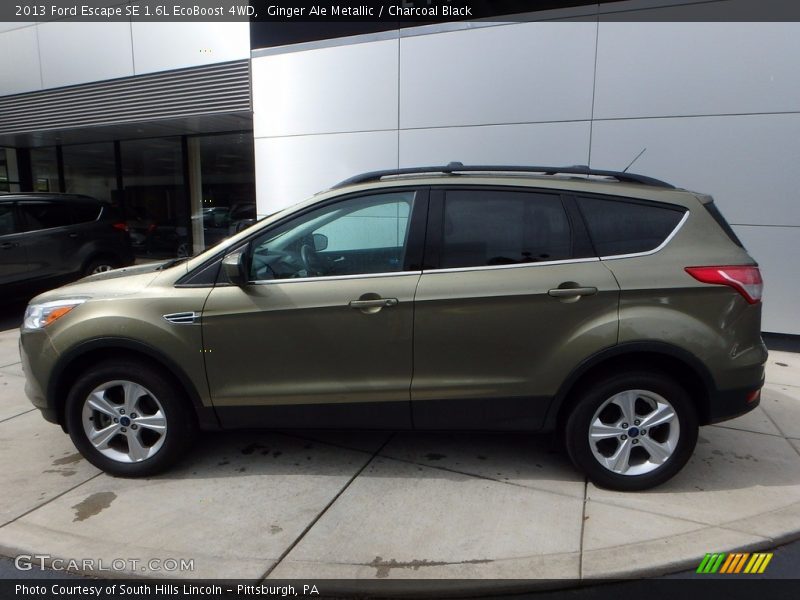 Ginger Ale Metallic / Charcoal Black 2013 Ford Escape SE 1.6L EcoBoost 4WD