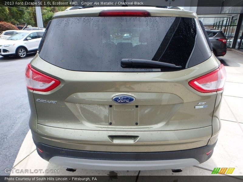 Ginger Ale Metallic / Charcoal Black 2013 Ford Escape SE 1.6L EcoBoost 4WD