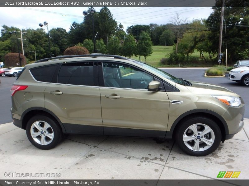 Ginger Ale Metallic / Charcoal Black 2013 Ford Escape SE 1.6L EcoBoost 4WD