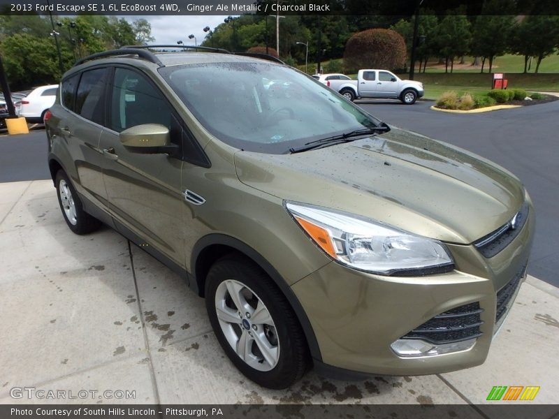 Ginger Ale Metallic / Charcoal Black 2013 Ford Escape SE 1.6L EcoBoost 4WD