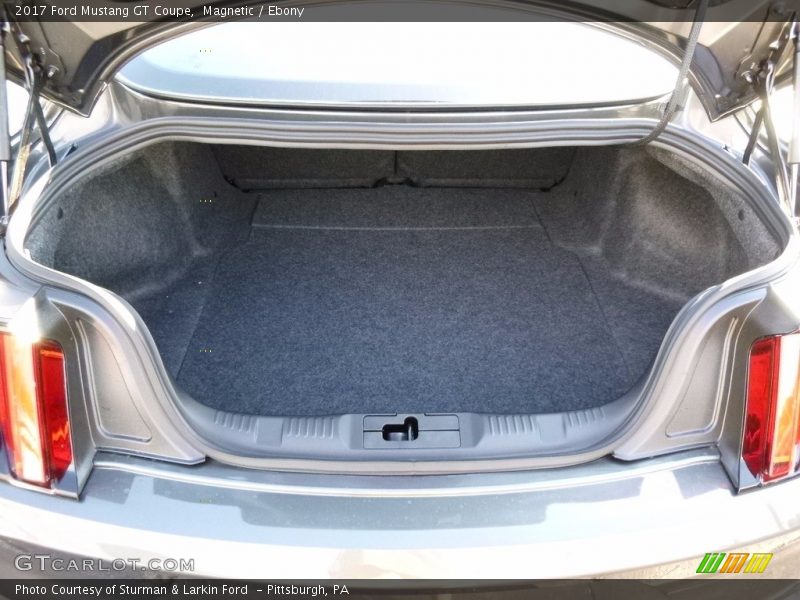 Magnetic / Ebony 2017 Ford Mustang GT Coupe