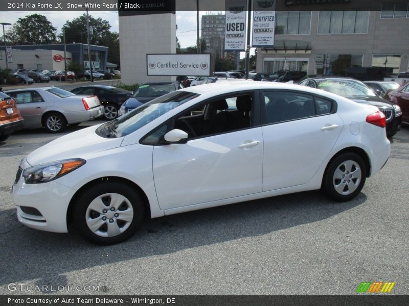Snow White Pearl / Black 2014 Kia Forte LX