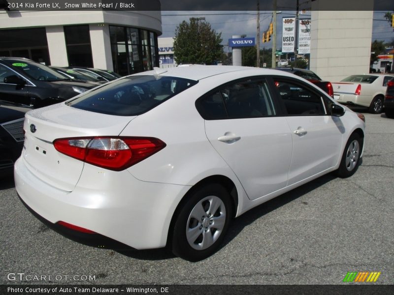 Snow White Pearl / Black 2014 Kia Forte LX