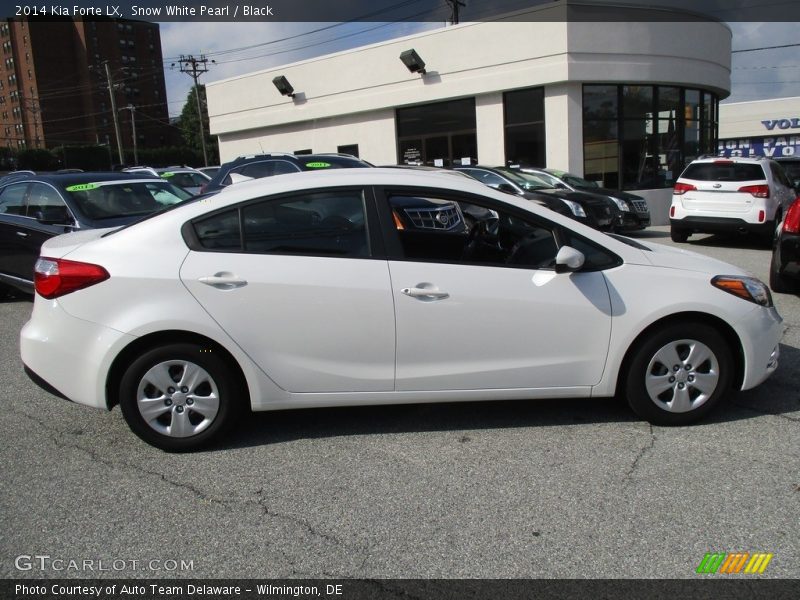 Snow White Pearl / Black 2014 Kia Forte LX