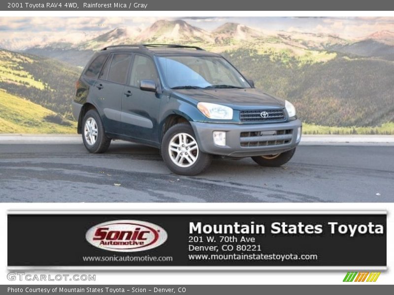 Rainforest Mica / Gray 2001 Toyota RAV4 4WD