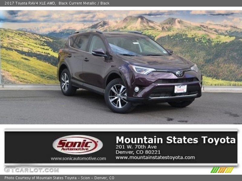 Black Current Metallic / Black 2017 Toyota RAV4 XLE AWD
