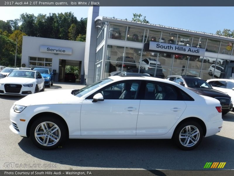 Ibis White / Black 2017 Audi A4 2.0T Premium quattro