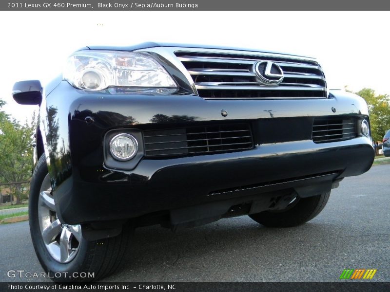 Black Onyx / Sepia/Auburn Bubinga 2011 Lexus GX 460 Premium