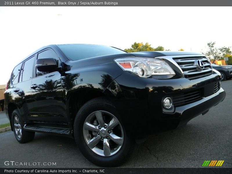 Black Onyx / Sepia/Auburn Bubinga 2011 Lexus GX 460 Premium
