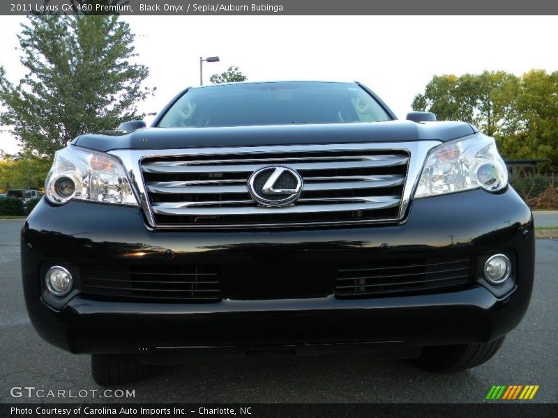 Black Onyx / Sepia/Auburn Bubinga 2011 Lexus GX 460 Premium