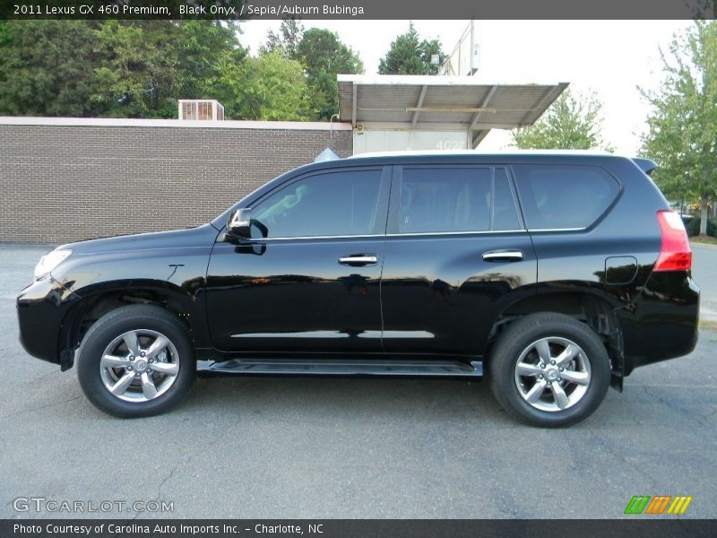 Black Onyx / Sepia/Auburn Bubinga 2011 Lexus GX 460 Premium