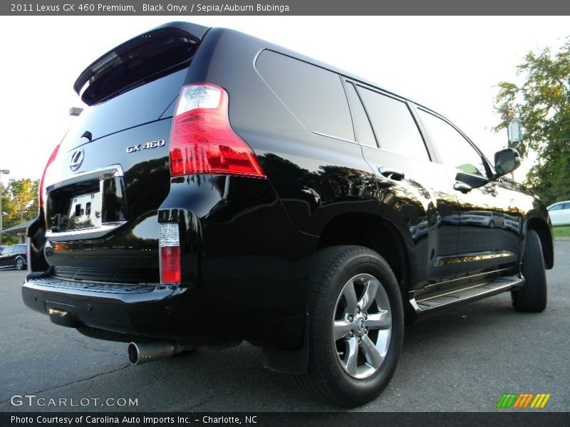 Black Onyx / Sepia/Auburn Bubinga 2011 Lexus GX 460 Premium