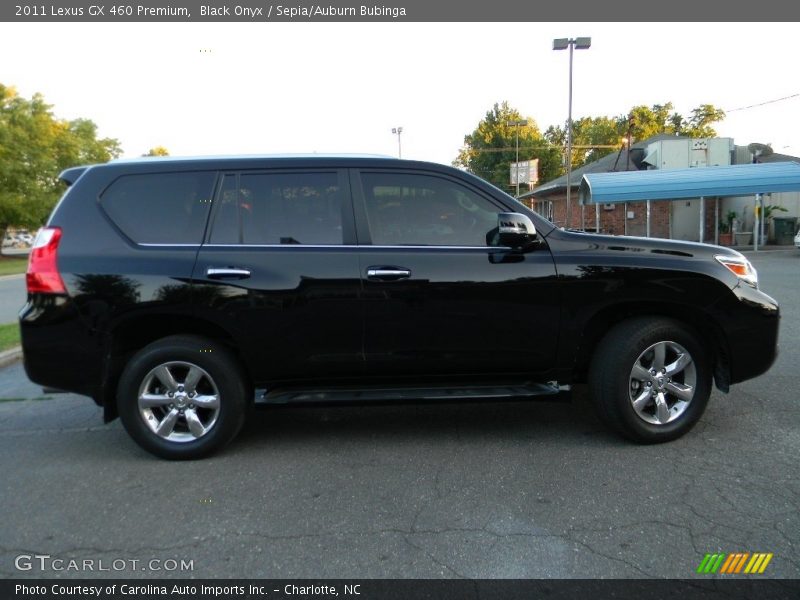 Black Onyx / Sepia/Auburn Bubinga 2011 Lexus GX 460 Premium
