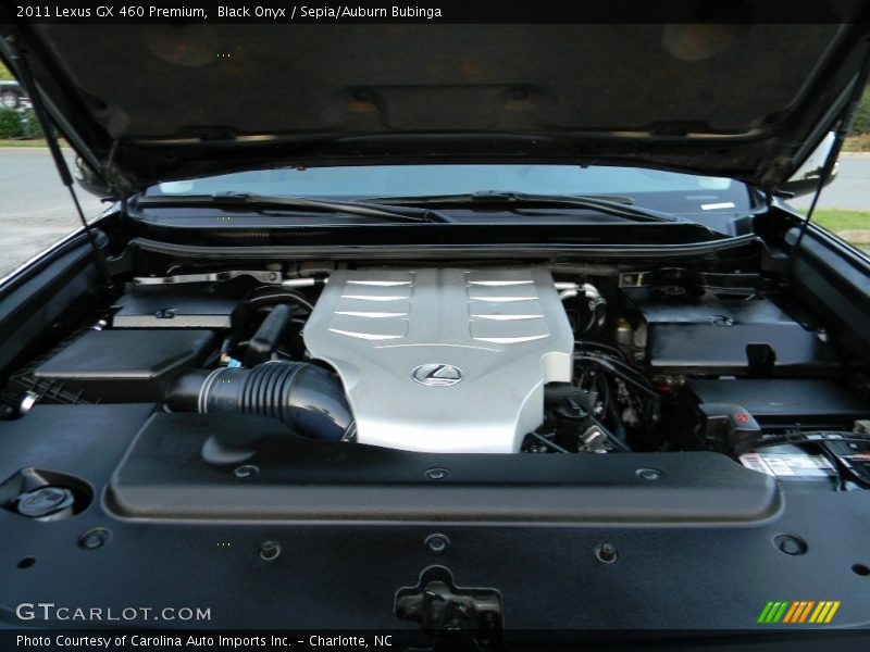 Black Onyx / Sepia/Auburn Bubinga 2011 Lexus GX 460 Premium