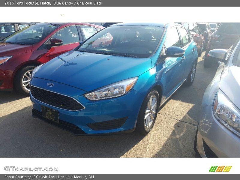 Blue Candy / Charcoal Black 2016 Ford Focus SE Hatch