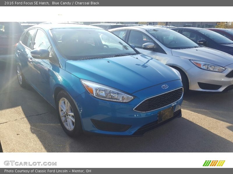 Blue Candy / Charcoal Black 2016 Ford Focus SE Hatch