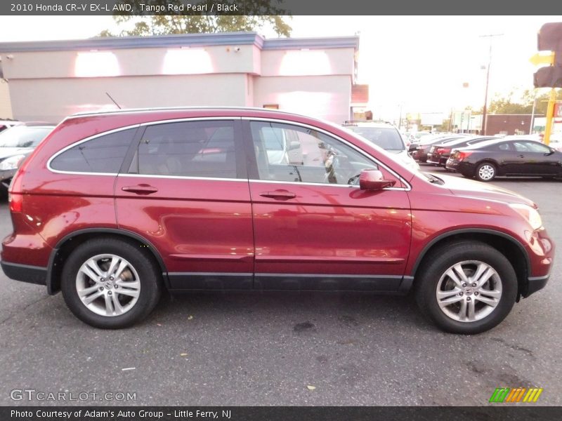 Tango Red Pearl / Black 2010 Honda CR-V EX-L AWD