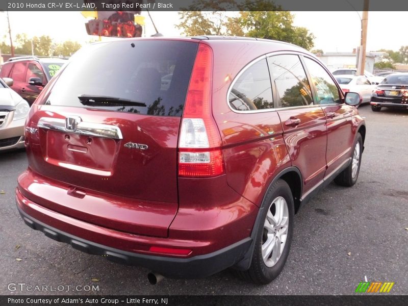 Tango Red Pearl / Black 2010 Honda CR-V EX-L AWD
