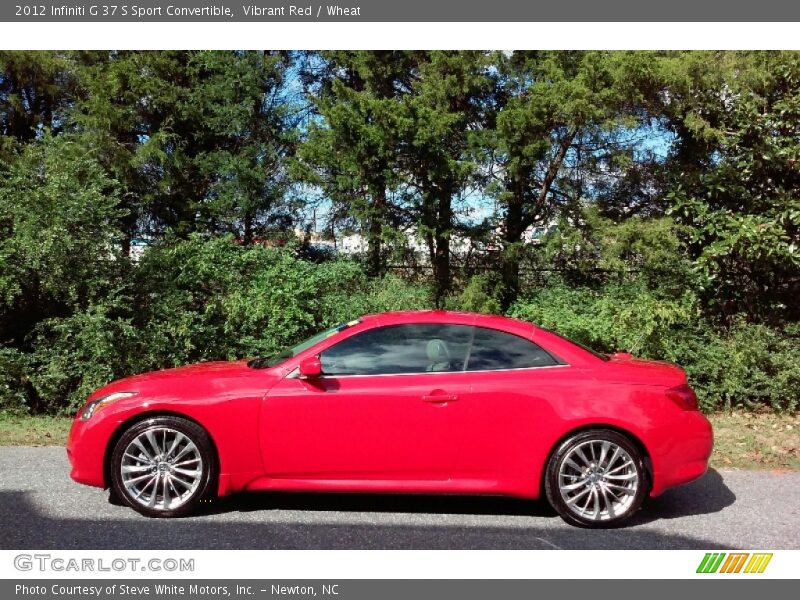 Vibrant Red / Wheat 2012 Infiniti G 37 S Sport Convertible