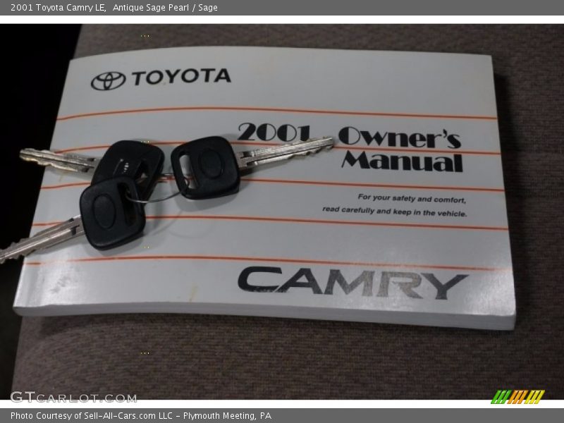 Antique Sage Pearl / Sage 2001 Toyota Camry LE