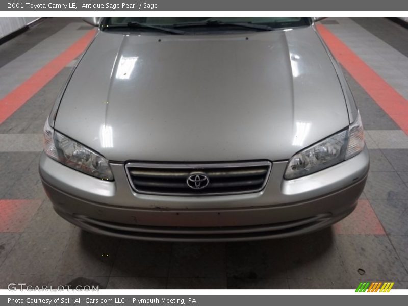 Antique Sage Pearl / Sage 2001 Toyota Camry LE